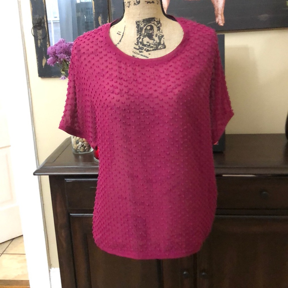 Boden sheer burgundy top